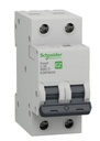 INTERRUPTOR TERMOMAGNETICO RIEL DIN 2 POLOS 50A BLANCO
